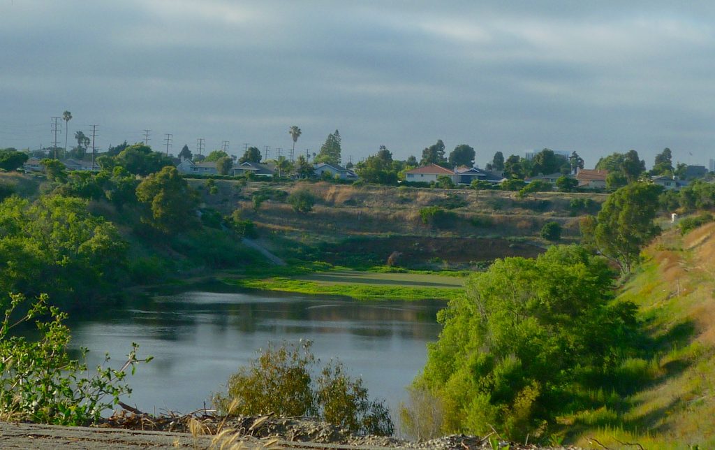 Torrance Walteria Lake